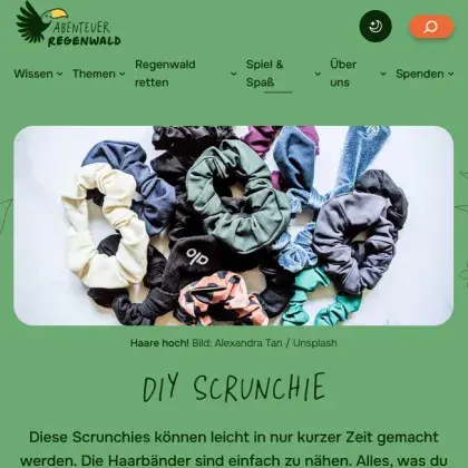 Man sieht eine Übersicht der Seite und ein Bild von Haargummis.