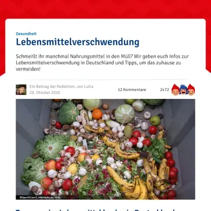 Screenshot Artikel