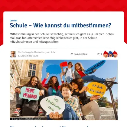 Screenshot Artikel