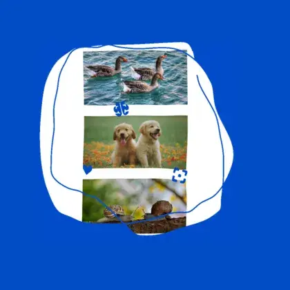 Tiere fotografieren
