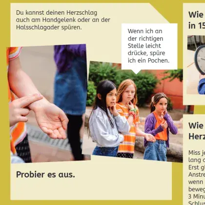 Man sieht Kinder, die ihren Puls testen.
