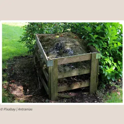 Kompost im Garten