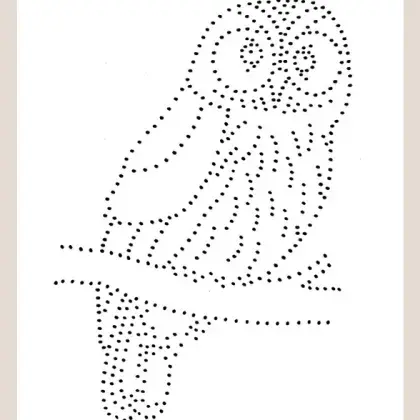 Illustration Eule