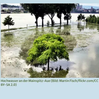 Man sieht ein Hochwasser.